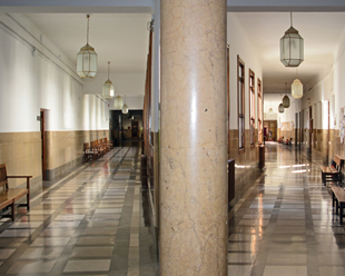  Lanterns in the Faculty of Medicine of Granada.